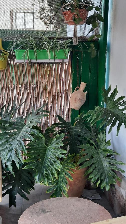 הבית הירוק - Green House Arad Buitenkant foto